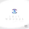 Exit Wounds - Single album lyrics, reviews, download