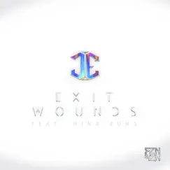 Exit Wounds - Single by James Egbert & Nina Sung album reviews, ratings, credits