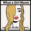 What a Girl Wants - Single album lyrics, reviews, download
