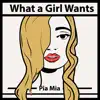 Stream & download What a Girl Wants - Single