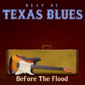 Best of Texas Blues Before the Flood artwork