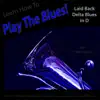 Learn How to Play the Blues! (Laid Back Delta Blues in D) [For Tuba Players] song lyrics