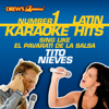 I'll Always Love You (As Made Famous by Tito Nieves) - Reyes De Cancion
