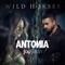 Wild Horses (feat. Jay Sean) - Antonia, Jay Sean & Adi Perez lyrics