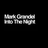 Into the Night (feat. Andre Small) song lyrics