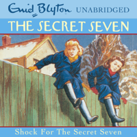 Enid Blyton - Shock for the Secret Seven: Secret Seven, Book 13 (Unabridged) artwork