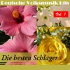 Deutsche Volksmusik Hits: Die besten Schlager, Vol. 1