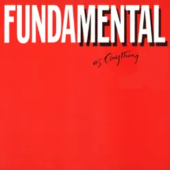 Fundamental As Anything - Mental As Anything