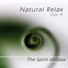 The Spirit of Gaia - Ave Maria