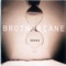 And Fools Shine On - Brother Cane lyrics