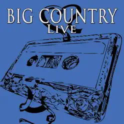 In Concert - Big Country