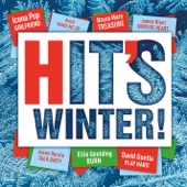 Hits Winter! 2013 artwork