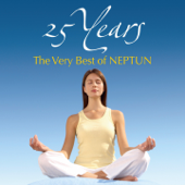 25 Years: The Very Best of NEPTUN - Various Artists