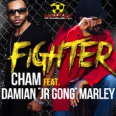 Fighter (feat. Damian "Junior Gong" Marley) [Street] artwork