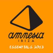 Amnesia Ibiza Essentials 2013 (Selected and Mixed by Les Schmitz, Caal Smile and Mar-T) - Varios Artistas