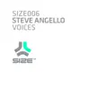Voices (Eric Prydz Remix) song lyrics