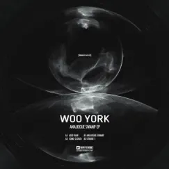 Analogue Swamp - EP by Woo York album reviews, ratings, credits