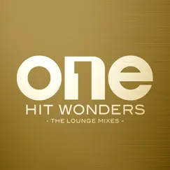 One Hit Wonders (The Lounge Mixes) by Various Artists album reviews, ratings, credits