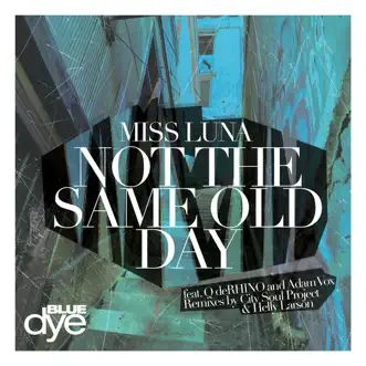 Not the Same Old Day (City Soul Project's Classic Mix) [feat. Q DeRHINO] by Miss Luna song reviws