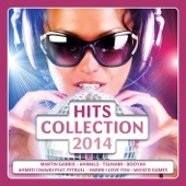 Hits Collection 2014 artwork