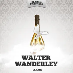 Llama - Walter Wanderley Llama - Walter Wanderley