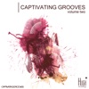 Captivating Grooves, Vol. 2 (Bonus Track Version)