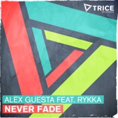 Never Fade (feat. Rykka) artwork