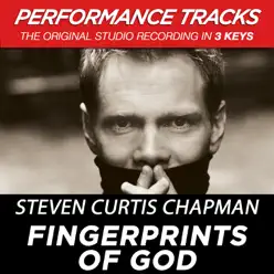 Fingerprints of God (Performance Tracks) - EP - Steven Curtis Chapman