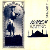 Waiting artwork