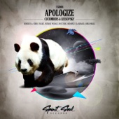 Apologize (Moe Turk Remix) artwork