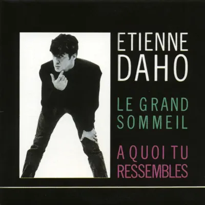 Le Grand Sommeil - Single - Etienne Daho