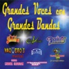 Grandes Voces Con Grandes Bandas, 2014