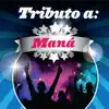 Tributo a Maná album lyrics, reviews, download