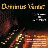 Dominus Veniet: Liturgie de l'Avent (Chant grégorien) artwork