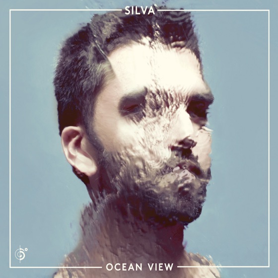 Cover artwork for Volta