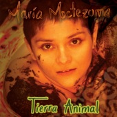 Tierra Animal artwork