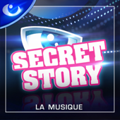Secret Story: La musique - Multi-interprètes