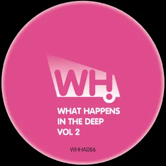 What Happens in the Deep, Vol. 2 by Various Artists album reviews, ratings, credits