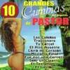 10 Grandes Cumbias Al Estitlo De Pastor, Vol. 2