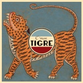 C'mon Tigre - Federation Tunisienne De Football