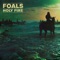 Bad Habit (Alex Metric Remix) - Foals lyrics