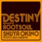 Destiny feat. N'Dea Davenport - Shuya Okino lyrics