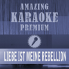 Liebe ist meine Rebellion (Radiomix) [Premium Karaoke Version] [Originally Performed By Frida Gold] - Clara Oaks