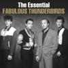 Stagger Lee - The Fabulous Thunderbirds