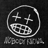 Nobody Knows. artwork