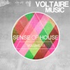 Sense of House, Vol. 10, 2013