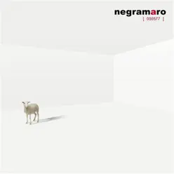 000577 - Negramaro