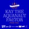 Fvck You (feat. Kay the Aquanaut) - Factor lyrics