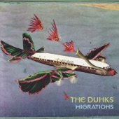 The Duhks - Turtle Dove