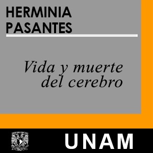 Vida y muerte del cerebro cover